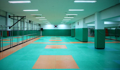 Taekkyon Gymnasium